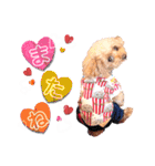 alice＆ameri（個別スタンプ：9）