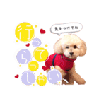 alice＆ameri（個別スタンプ：12）