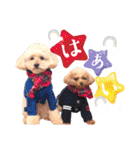 alice＆ameri（個別スタンプ：15）
