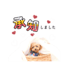 alice＆ameri（個別スタンプ：17）