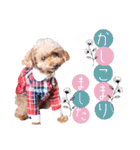 alice＆ameri（個別スタンプ：18）