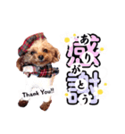 alice＆ameri（個別スタンプ：21）
