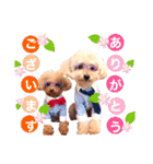 alice＆ameri（個別スタンプ：22）