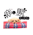 alice＆ameri（個別スタンプ：25）