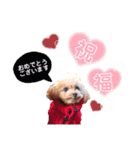 alice＆ameri（個別スタンプ：26）
