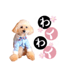 alice＆ameri（個別スタンプ：32）