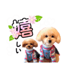 alice＆ameri（個別スタンプ：35）