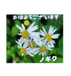 初冬のお花で ご挨拶（個別スタンプ：4）