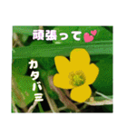 初冬のお花で ご挨拶（個別スタンプ：32）