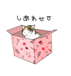 三毛猫ちゃんのスタンプ☆（個別スタンプ：4）