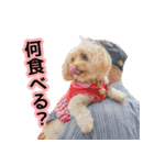 まいぐま家のもこちゃん【第1弾】（個別スタンプ：3）