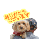まいぐま家のもこちゃん【第1弾】（個別スタンプ：14）