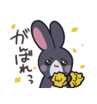 てみじか黒うさぎ（個別スタンプ：14）