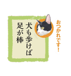 猫遊び♪パロディーことわざ集（個別スタンプ：2）