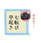 猫遊び♪パロディーことわざ集（個別スタンプ：8）