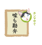 猫遊び♪パロディーことわざ集（個別スタンプ：11）