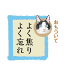 猫遊び♪パロディーことわざ集（個別スタンプ：25）