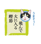 猫遊び♪パロディーことわざ集（個別スタンプ：31）