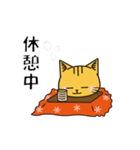 猫の助の動くアニメーションスタンプ冬Ver（個別スタンプ：13）