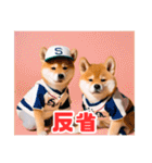 野球好きな柴犬スタンプ3（個別スタンプ：19）