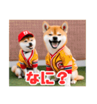 野球好きな柴犬スタンプ3（個別スタンプ：21）