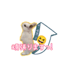うさふぁむ2（個別スタンプ：2）