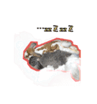 うさふぁむ2（個別スタンプ：13）