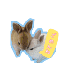 うさふぁむ2（個別スタンプ：18）