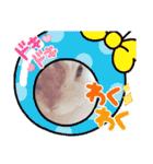 うさふぁむ2（個別スタンプ：27）
