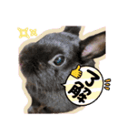 うさふぁむ2（個別スタンプ：28）