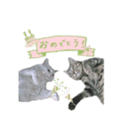 My cat is chimaki ＆ okayu！（個別スタンプ：4）