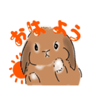 うさぎのJUDY（個別スタンプ：2）