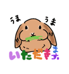 うさぎのJUDY（個別スタンプ：4）