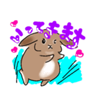 うさぎのJUDY（個別スタンプ：5）