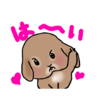 うさぎのJUDY（個別スタンプ：11）