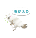 ゆきまるくん スタンプ（個別スタンプ：8）