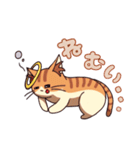 双子ねこ2（個別スタンプ：1）