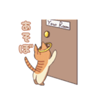 双子ねこ2（個別スタンプ：10）