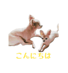 私のおイヌ様。part 2（個別スタンプ：3）