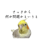 NEOなオカメインコ（個別スタンプ：3）