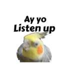 NEOなオカメインコ（個別スタンプ：7）