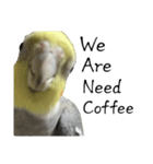 NEOなオカメインコ（個別スタンプ：8）