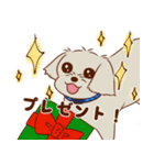 おのみちわんこ てるき クリスマス（個別スタンプ：10）