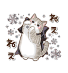 冬の思いやり♡癒し猫（個別スタンプ：22）