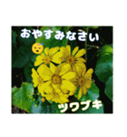 寒い時季のご挨拶に 山野草を添えて（個別スタンプ：38）