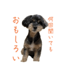 私は きのこ（個別スタンプ：2）