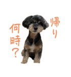 私は きのこ（個別スタンプ：8）