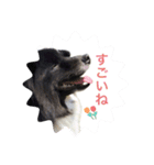犬のくーちゃん♡（個別スタンプ：5）