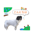 犬のくーちゃん♡（個別スタンプ：6）