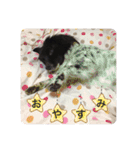 犬のくーちゃん♡（個別スタンプ：18）